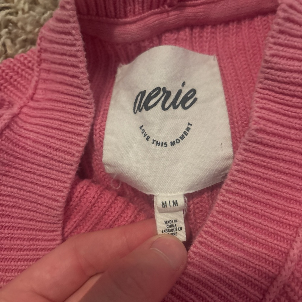 Aerie Women's Cowl Neck Sweater in Pink